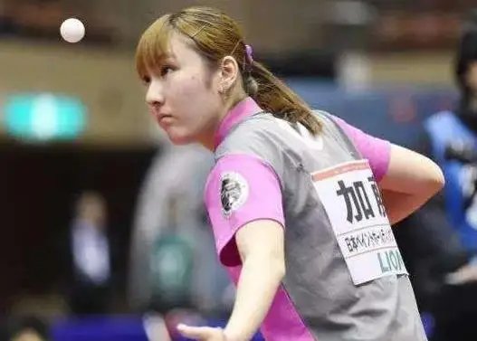 察和果断的 察和果断的